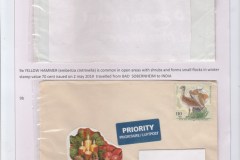 Gurudut-K-A-Peep-Into-Germany-Through-the-stamps-on-travelled-cover9